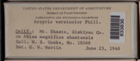 Image Associated With the Occurence